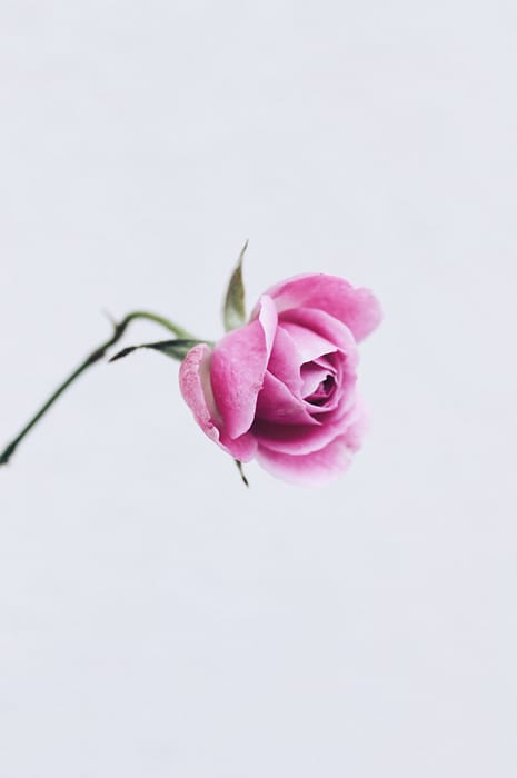 anne-sack--OIO018ubcg-unsplash