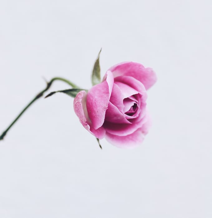 anne-sack--OIO018ubcg-unsplash